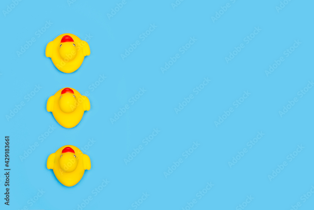 Tres patos de plástico amarillos sobre un fondo celeste liso y aislado. Vista superior. Copy space