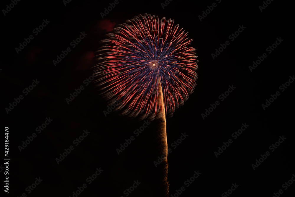 夏の花火