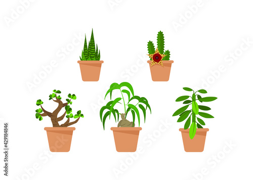 Vector set of house plants isolated on white background