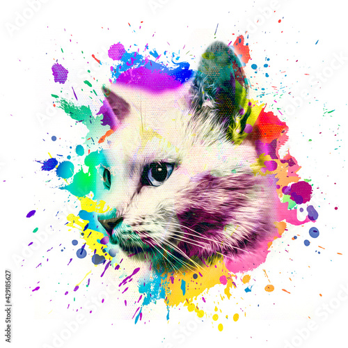 cat face with paint splash art