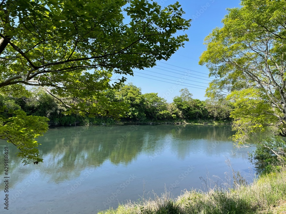 自然豊かな公園 自然豊かな公園