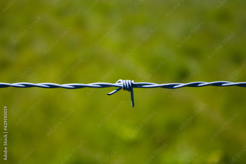 Single line of barbed wire with one knot isolated on green foliage background on a sunny day, copy space