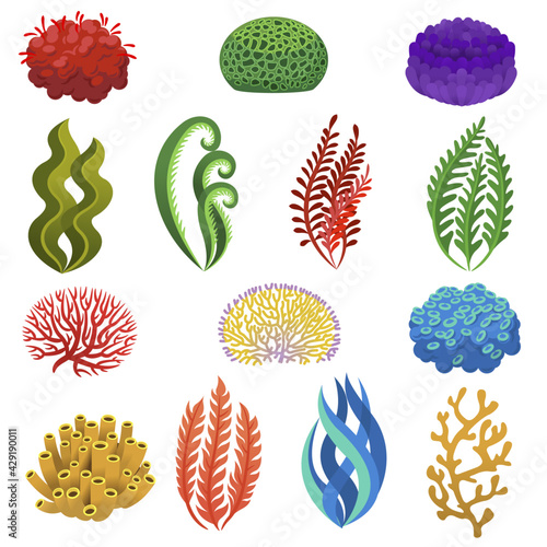 Seaweed and corals. Cartoon underwater reef plants and animals. Aquarium, ocean and sea flora, marine floral elements vector set. Anemones and algae planting seascape, aquatic icons