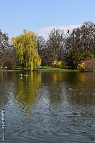 South Park Wrocław Poland, nature, spring, tree park pond
