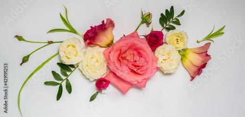 Banner. loral layout of pink roses isolated on a white background. Top view and copy space