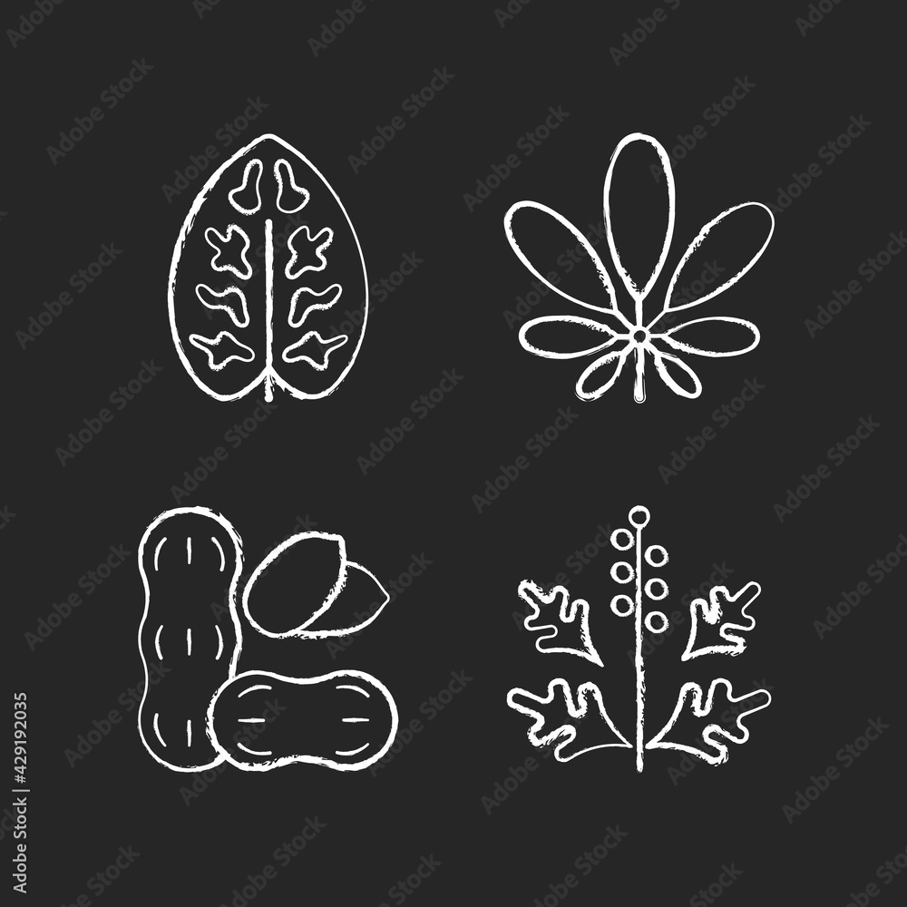 Reason for allergy chalk white icons set on black background