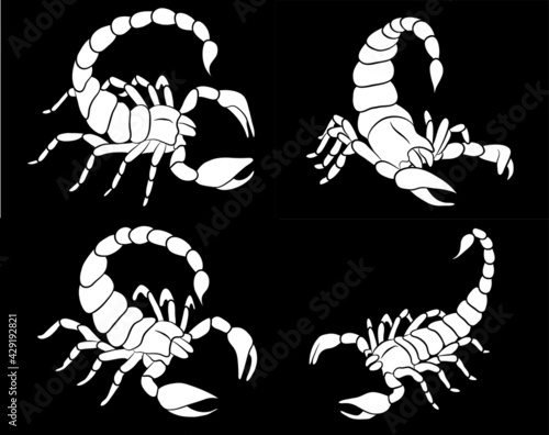 Graphic scorpion set isolated on white background in different poses, vector illustration for tattoo and print