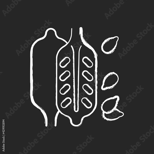 Sesame chalk white icon on black background. Food ingredient, cooking seasoning. Nutritious additives. Condiment for cookery. Common allergen. Isolated vector chalkboard illustration