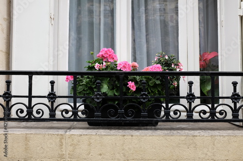 flowers on a balcony
