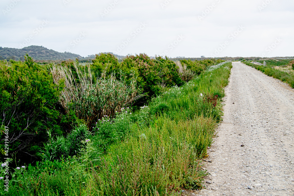 Strada sull'argine destro del flumendosa