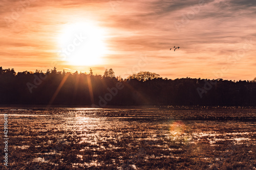 Sunset over an open fields with some birds flying in the air