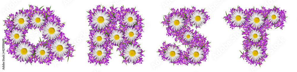 Letters Q, R, S, T made of lilac violets and chamomile Letters Q, R, S, T made of lilac violets and chamomile