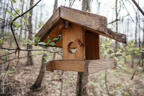 Birdhouse on the tree. Nesting box in a park, springtime.