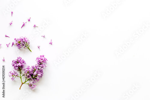 Flowers composition. Purple lilac flay lay  copy space