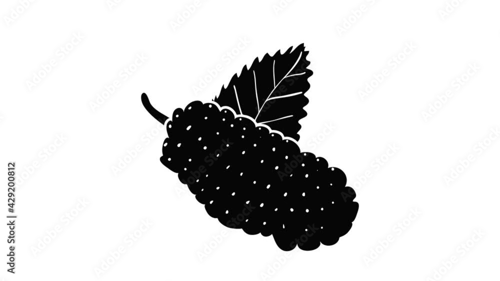 Mulberry icon animation isometric black object on white background