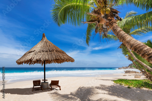 Coco palms on Sunny beach with and sun umbrella  beach sunbeds  turquoise sea in tropical island. 