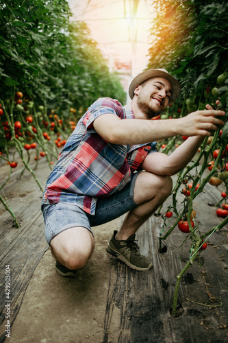 Happy and smiling young adult man working in greenhouse.