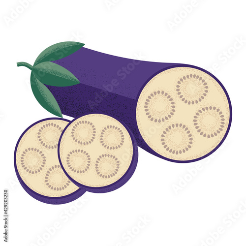 Purple eggplant sliced with seeds in the style of a modern flat with a noisy grunge texture. Vegetable for the Mediterranean or vegan diet . Stock vector illustration isolated on a white background