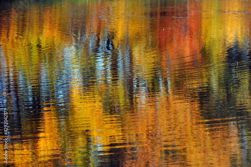 Der Goldene Herbst spiegelt sich in einem See
