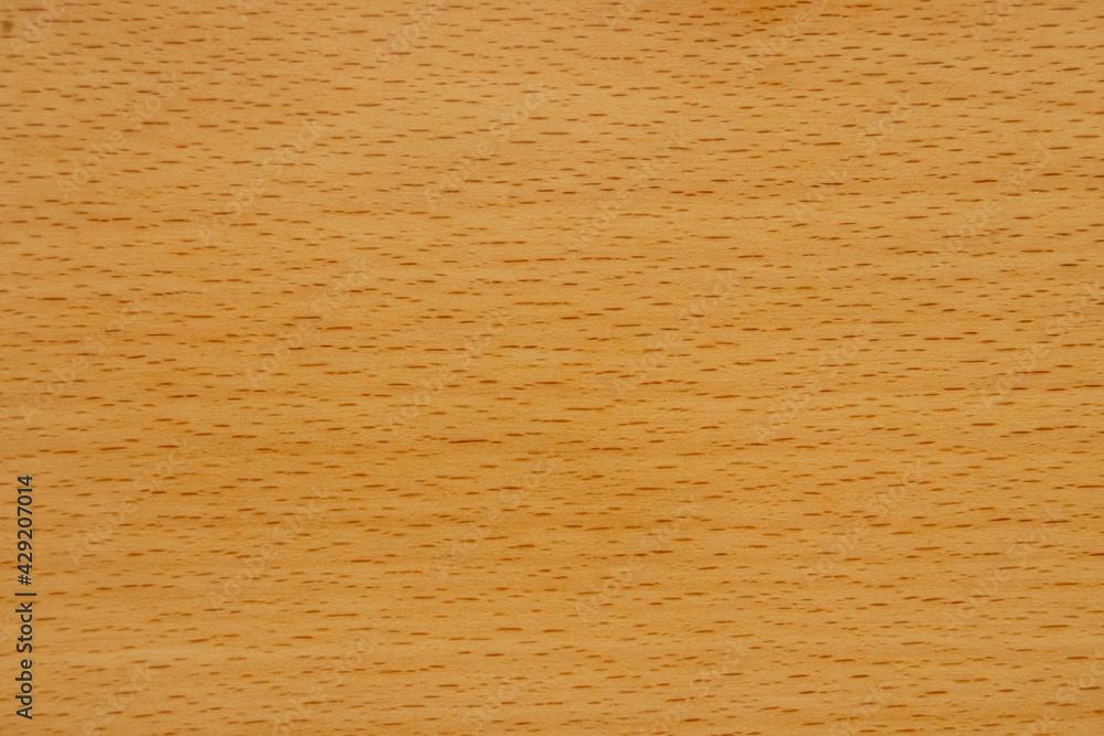 Fototapeta premium Textura o fondo de madera