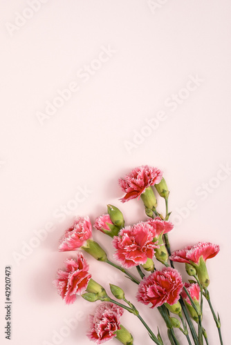 Design concept of Mother's day holiday greeting with carnation bouquet on pink table background