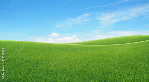 field on a background of the blue sky