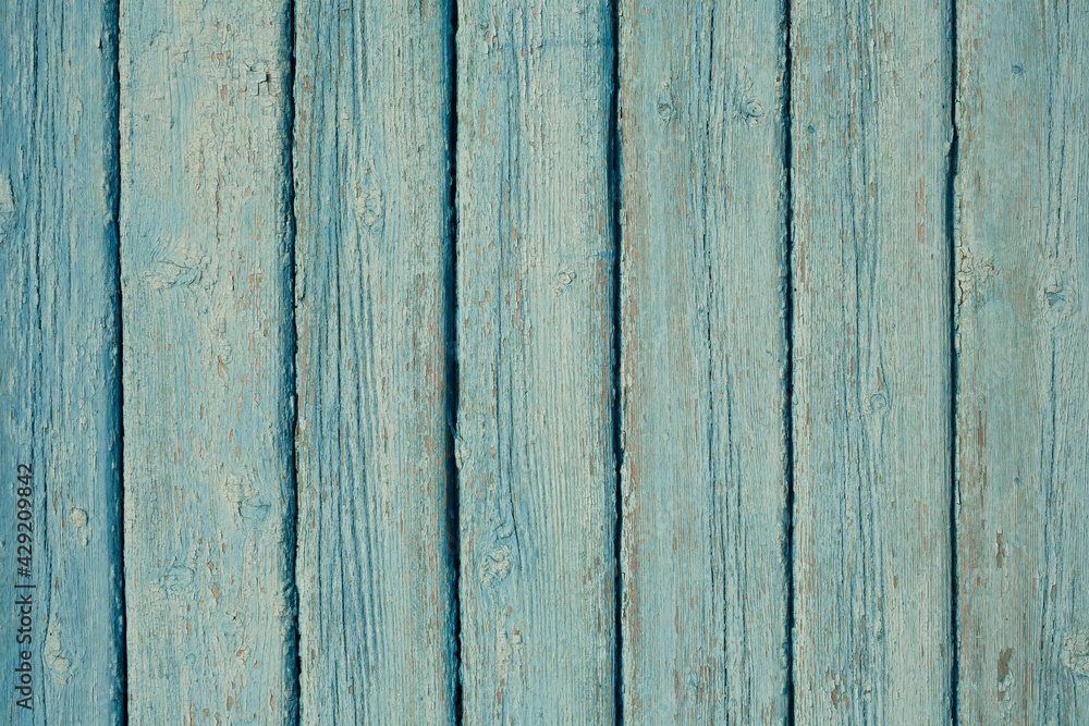 Naklejka premium Texture of old wooden planks painted in blue