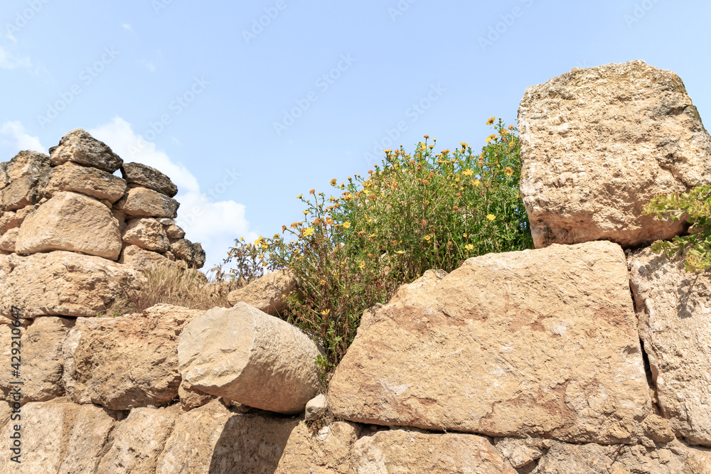 The ruins  of the Beit Guvrin amphitheater, near Kiryat Gat, in Israel