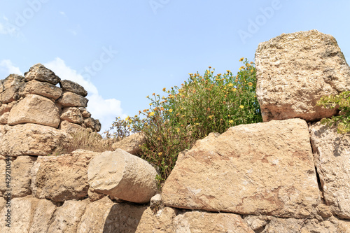 The ruins  of the Beit Guvrin amphitheater, near Kiryat Gat, in Israel © svarshik