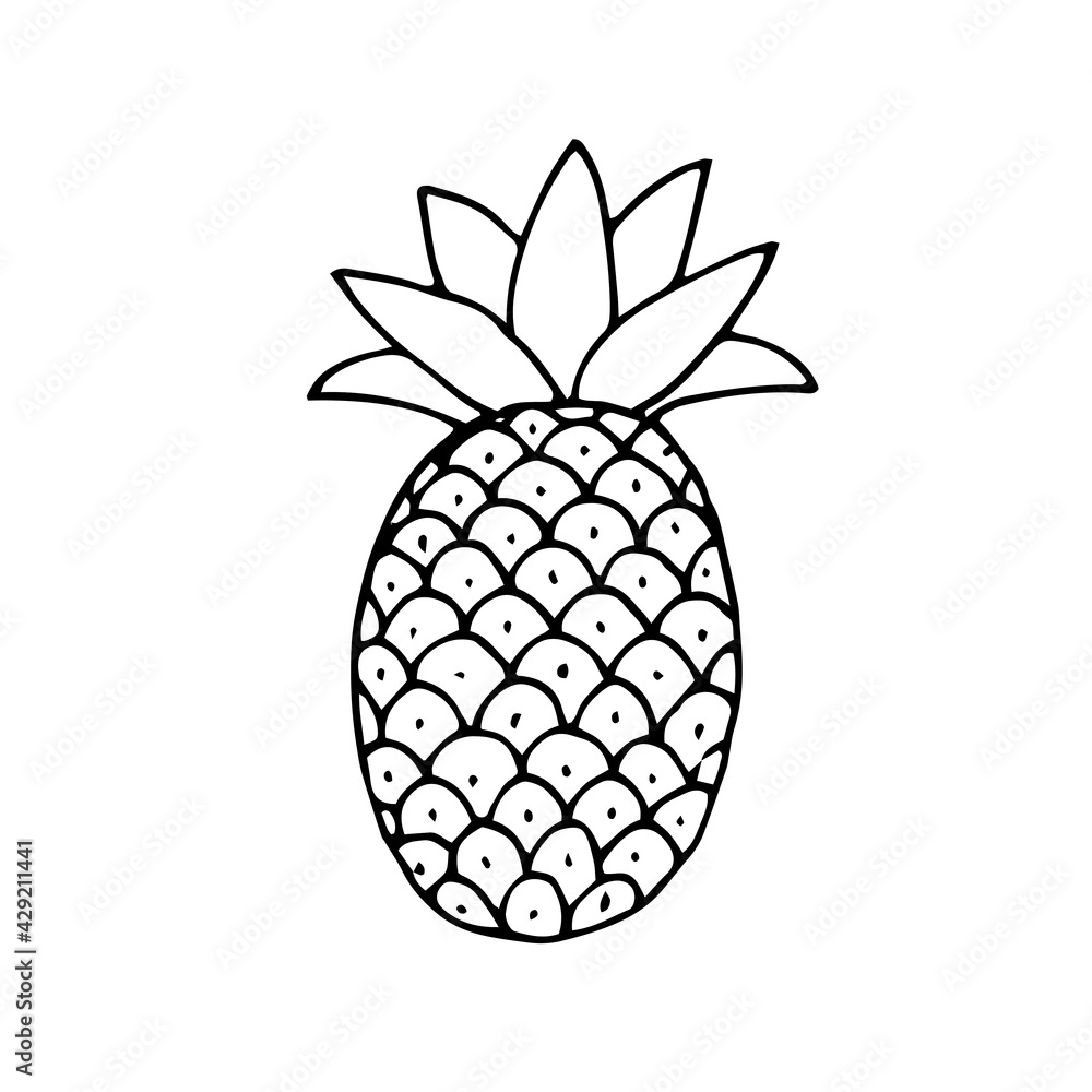 Obraz premium A pineapple. The fruit. Healthy vegetarian food. Vector. Doodle. Hand-drawn illustration. Silhouette. Black and white outline. Coloring.