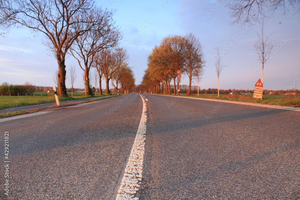 Fototapeta premium Unendlich wirkende Landstraße mit Bäumen am Straßenrand