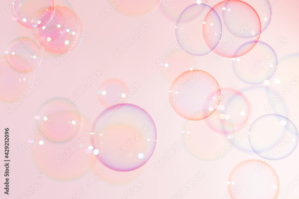 Colorful Transparent Pink soap Bubbles Float Background.