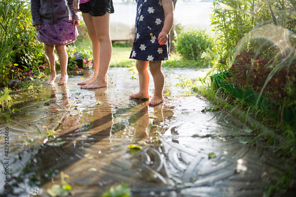 children play in puddle in summer after rain. kids fun in countryside children play in puddle in summer after rain. kids fun in countryside
