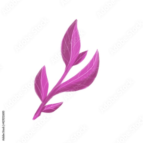 Pink plant graceful twig with cute leaves