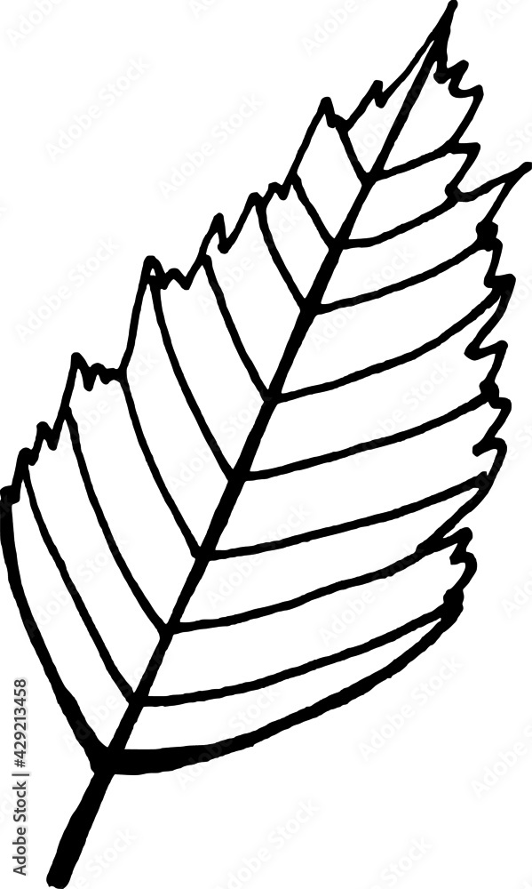 illustration of an apple illustration of an apple