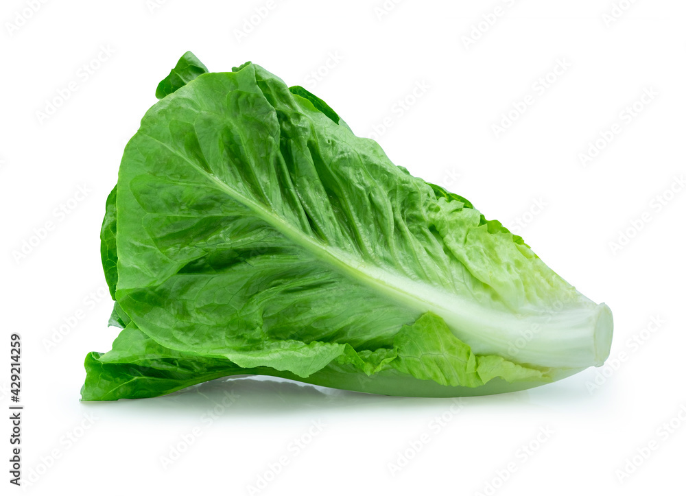 Fresh green Lettuce leaves, Salad leaf isolated on white background. with clipping path. Fresh green Lettuce leaves, Salad leaf isolated on white background. with clipping path.