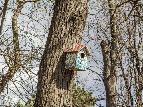 Wallpaper Mural Bird house on a tree in a park in Serbia. Torontodigital.ca