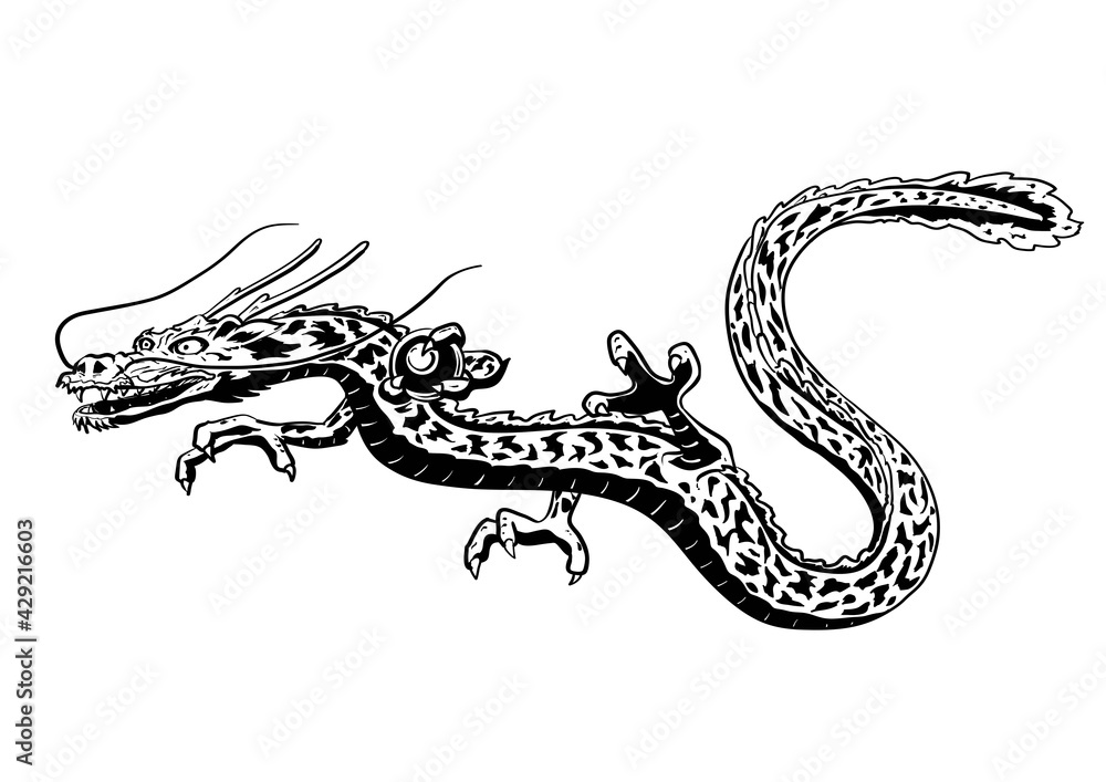 Obraz premium 線幅が変えられる！ ベジェ曲線で描かれたドラゴン