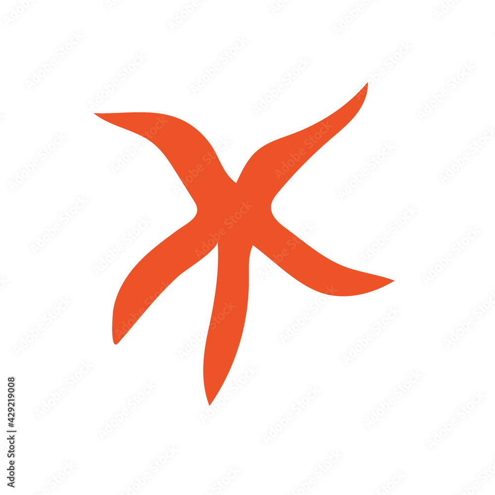 Beautiful starfish on an isolated background. Marine life in the sea and akean life. Beautiful starfish on an isolated background. Marine life in the sea and akean life.