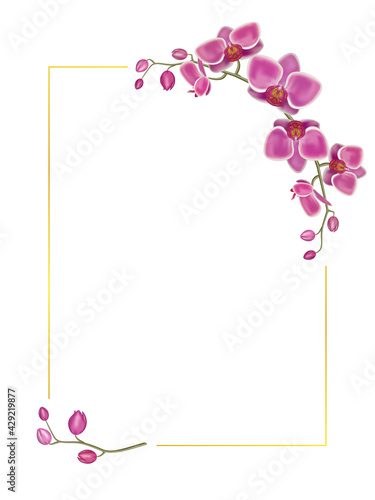 Vector orchid flower with gold frame for tropical design, romantic background or floral banner