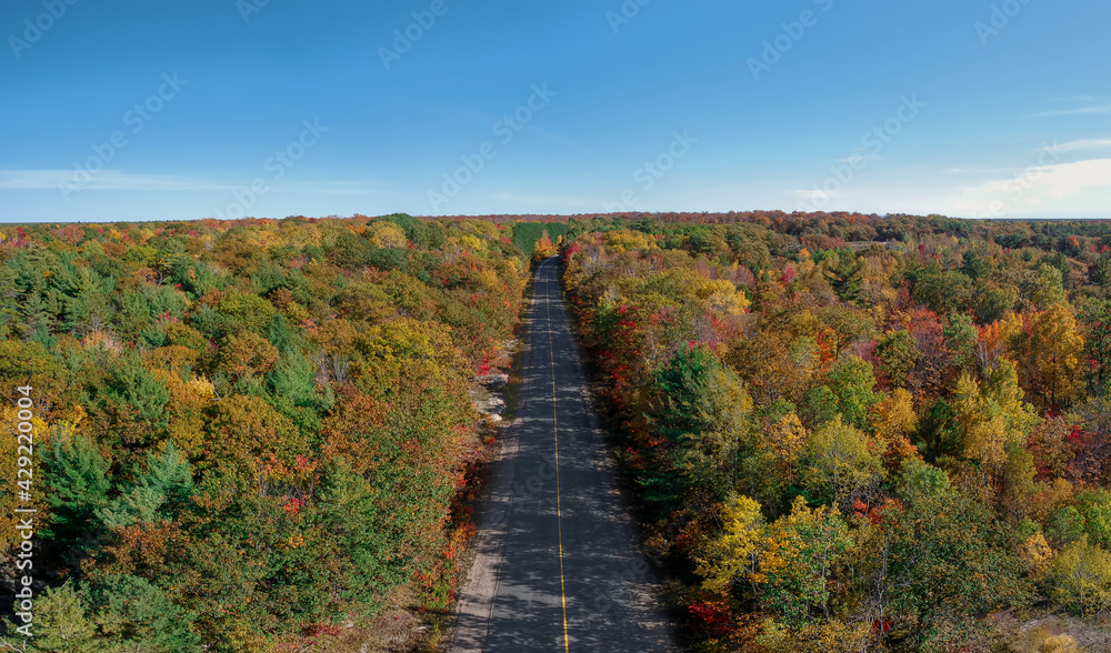 Aerial view of paved road winding through colorful fall forest - bright yellow, red, orange, green  trees. Blue sky, sunny day. Muskoka, Northern Ontario, Canada.