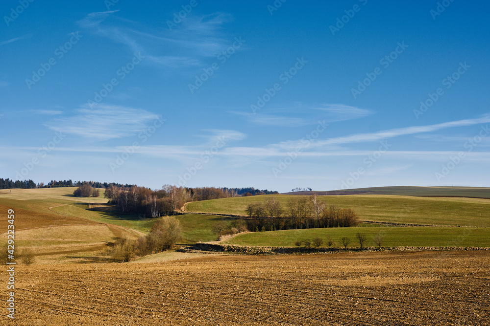 Field near Vyprachtice