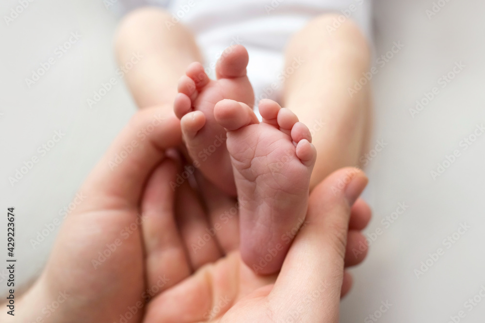 Feet of a newborn in the hands of a father, parent. Studio photography, white background. Happy family concept. Feet of a newborn in the hands of a father, parent. Studio photography, white background. Happy family concept.