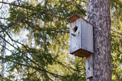 Horizontal photo of birdhouse in the park © andiafaith