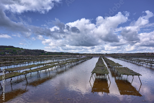 Woodstown Beach, Waterford, Ireland. Oyster and seafood farm on the beach with reflection on the water