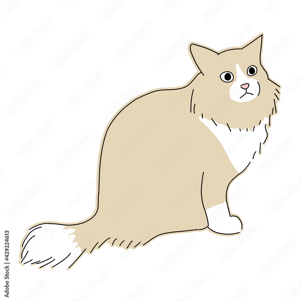 Obraz premium 座っている長毛種の猫の全身イラスト