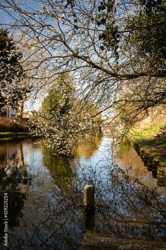 canal de roubaix photo