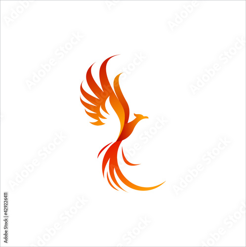 fire bird phoenix creative logo design vector illustration