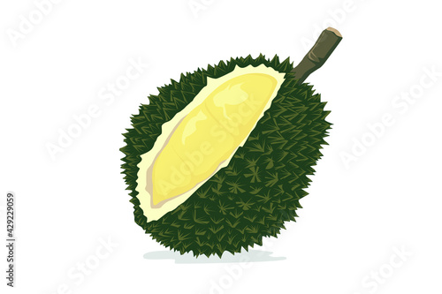 Durian on white background