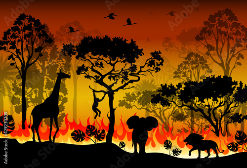 Problems forest fire burns in Australia. Forest fires with silhouette of wild animals. Burning forest spruces in fire flames isolated, nature disaster